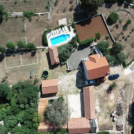 Ane, Divine Trbounje