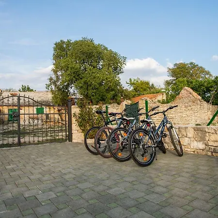 Βίλα Ane, Divine